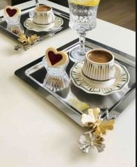 2 STAINLESS STEEL SQUARE MODEL PRESENTATION TRAY LUXURY PRESENTATION WITH BUTTERFLY ACCESSORIES