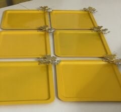 METAL SARI RENK KARE MODEL 6 LI SUNUM TEPSİSİ KELEBEK AKSESUARLI LÜX